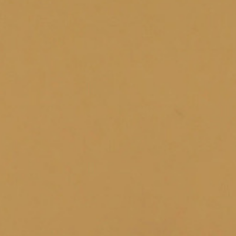 LindeCovers iPhone 16 - Silikonecover 28 Golden