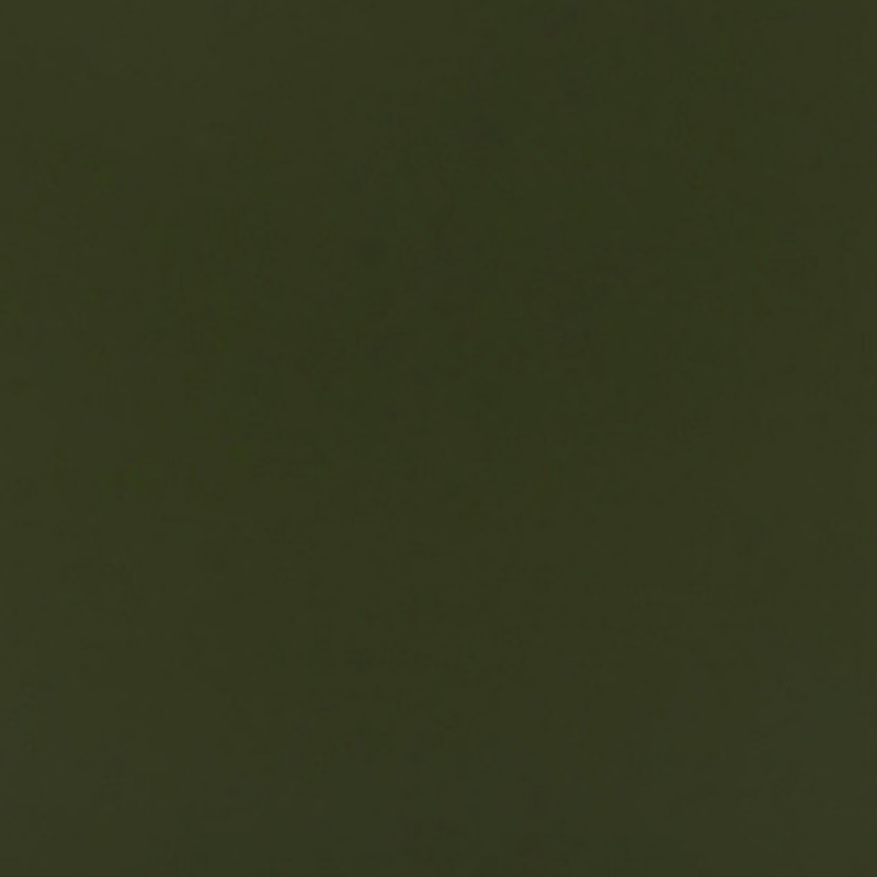 LindeCovers iPhone 16 - Silikonecover 48 Pine Forest Green