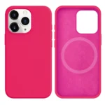 LindeCovers iPhone 12/12 Pro Silikonecover - MagSafe Kompatibel 47 Fluorescent