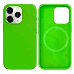 LindeCovers iPhone 12/12 Pro Silikonecover - MagSafe Kompatibel 31 Dark Green