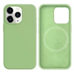 LindeCovers iPhone 12/12 Pro Silikonecover - MagSafe Kompatibel 1 Mint Green